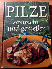 Pilze sammeln und genießen