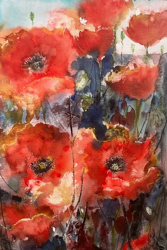 Original roter mohn aquarell - roter,