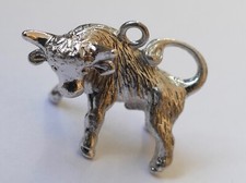 Anhänger Sternzeichen Stier