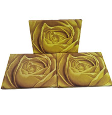 3er Set Leinwandbilder –