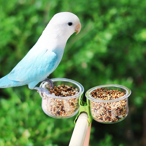 Vogelfutterbecher clip auf - vogelfutterbecher,