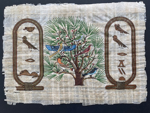Papyrus großes bild - großes,