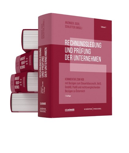 Rechnungslegung und prüfung - rechnungslegung,
