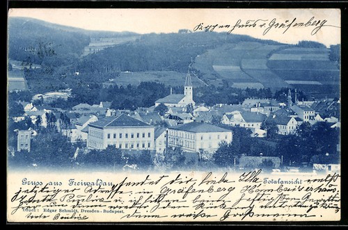 Freiwaldau, Pohled na mesto v