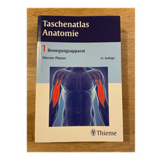 Thieme taschenatlas anatomie - thieme,