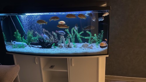 450 aquarium mit sehr - ,