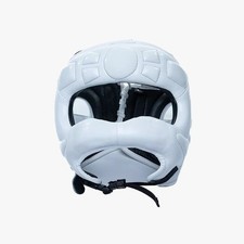 Infiniti Europe ProGuard Face