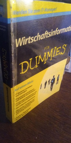 Wirtschaftsinformatik für