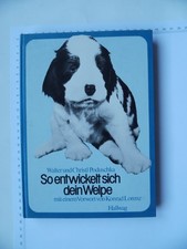 Entwickelt sich dein welpe - entwickelt,