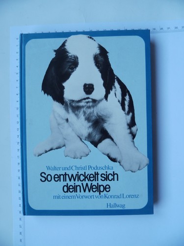 Entwickelt sich dein welpe - so,