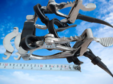 Maulgatter kleine Pferde Pony