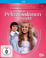 Wie man Prinzessinnen weckt /