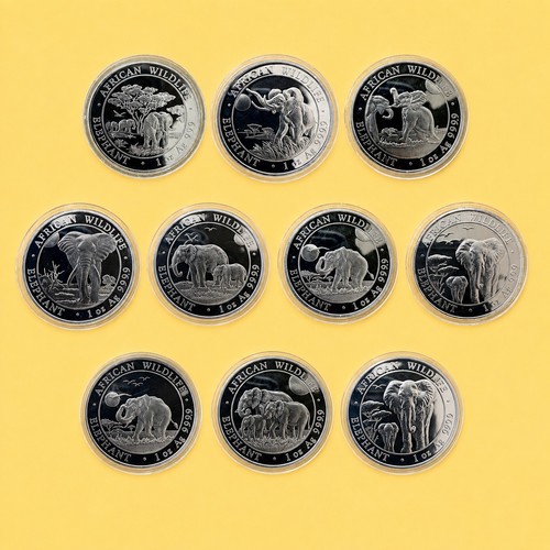 10x somalia elefant oz - somalia,