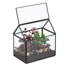Pflanzenterrarium Kakteenhaus Mini Gewächshaus Florarium Glaskasten Glas indoor
