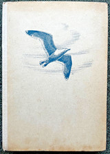 DIE VÖGEL AN STRAND UND WATT