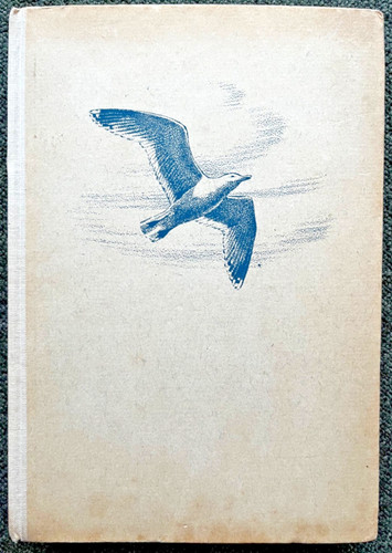 Die vögel strand und watt - vÖgel, an