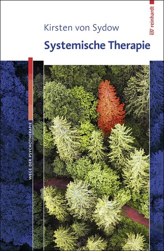 Systemische therapie kirsten - therapie,