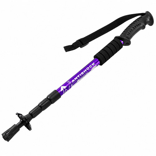Teleskop nordic walking stock - nordic,