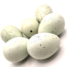 6 blaue Wachteleierschalen ausgeblasen Dekoration Basteln Ostern natur Vogeleier