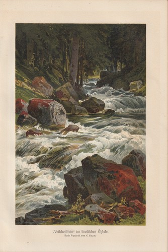 Veilchenstein ötztal flechten - veilchenstein,