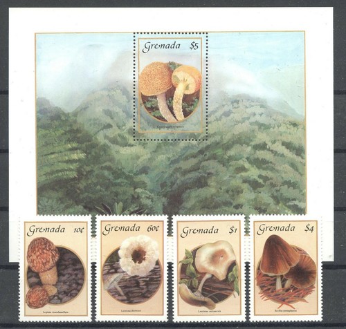 Pilze mushrooms grenada - pilze,,
