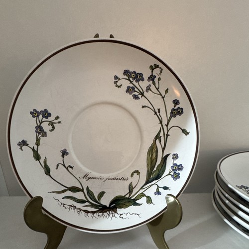 Villeroy boch botanica - boch,