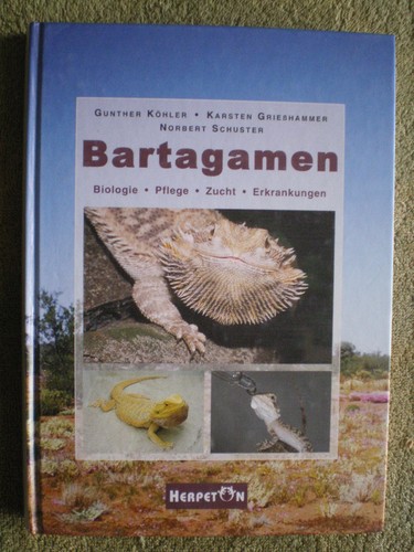 Bartagamen agamen arten - bartagamen,