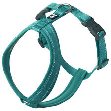 Hurtta ECO Casual Y-Geschirr für Hunde, peacock, komfortabel & nachhaltig