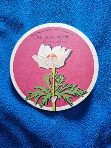 Bierdeckel alpenanemone - alpenanemone,