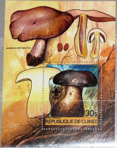 Guinea 1985 block 128 s - guinea,