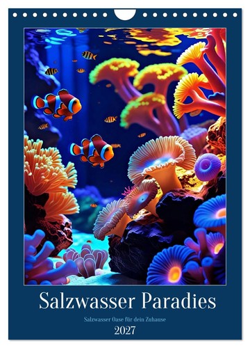Salzwasser paradies - salzwasser,