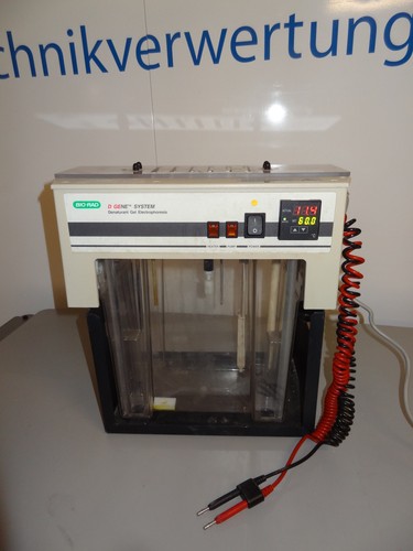 Bio rad gene - d, system