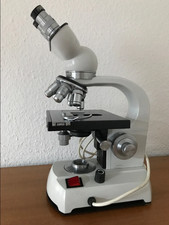 Steindorff Berlin Labor