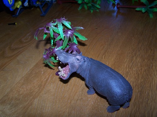Schleich nilpferd nr 14681 - nr,