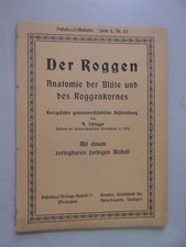 Roggen Anatomie der Blüte und