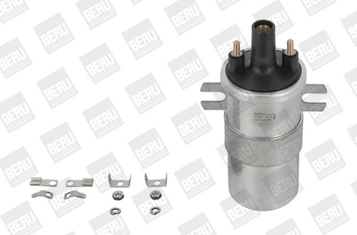 Borgwarner zündspule - (beru),