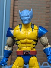 Wolverinepool Custom Head For