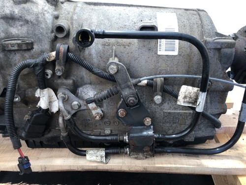 Iveco daily autobus - iveco,