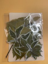 Herbarium set - herbarium,