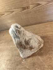 Gipsmodell Gipskopf Tierkopf Gips Präparat Präparator Kuh Kälbchen