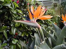 100 Blatt Fotopapier 260g/m²