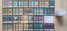 Naturia Erde Pflanze Insekten Yu-Gi-Oh! Deck + Hüllen