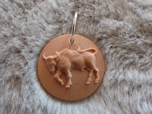 ~Modeschmuck~Anhänger/Schlüs