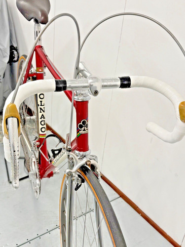 Team scic bottecchia 1979 - scic,