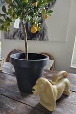 Eschert Design Gießkanne