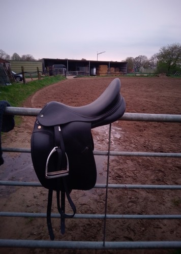 Prestige top dressage - prestige, 18/34.