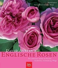 David Austins Englische Rosen