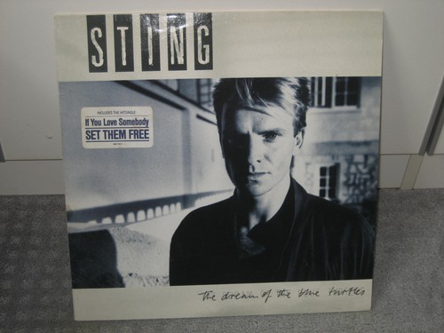 Sting the deam - sting,