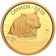 Goldmünze Grizzlybär