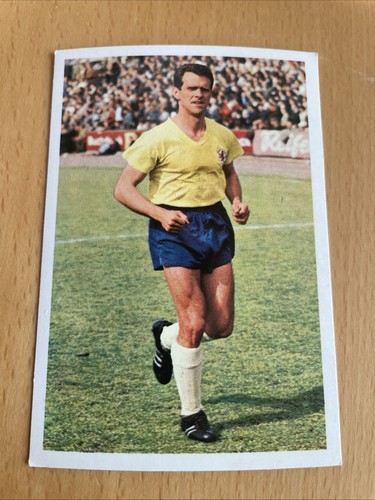 Bergmann 1967 47 - bergmann, schmidt